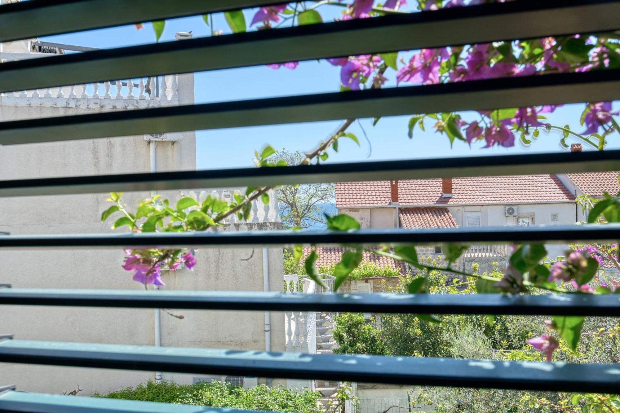Apartman Zenta Petrovac Exterior foto
